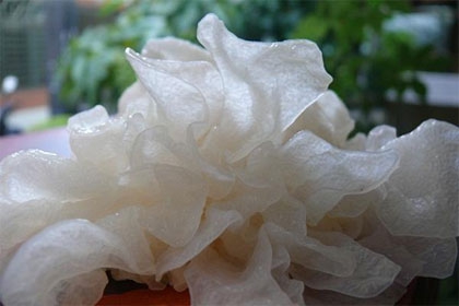 ?蚵仔湯抗痘、泡菜拌飯助睡眠 10款排毒抗發(fā)炎菜單