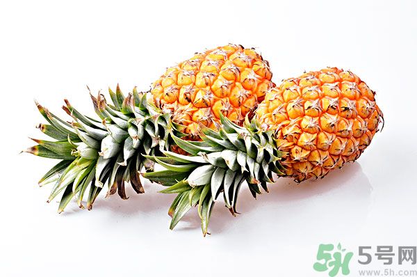 芒果和菠蘿能一起吃嗎？芒果和菠蘿一起吃好嗎？