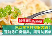 吃芹菜可以去口臭嗎？口臭可以吃芹菜嗎？