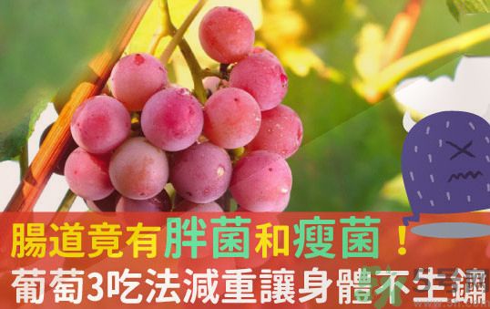 吃葡萄可以不吐葡萄籽嗎？吃葡萄皮好不好？