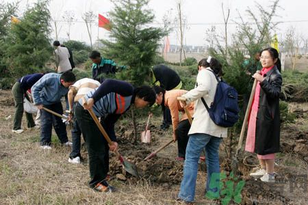 植樹節(jié)是幾月幾日？植樹節(jié)可以做些什么活動？