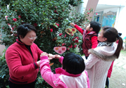 植樹節(jié)是幾月幾日？植樹節(jié)可以做些什么活動？