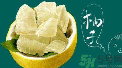 多吃柚子能減肥嗎？怎樣吃柚子才健康？