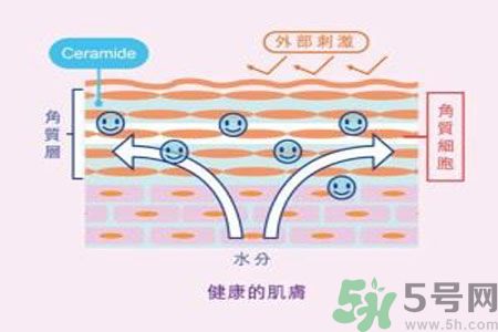 皮膚炎癢是怎么回事？皮膚炎發(fā)作怎么治療？