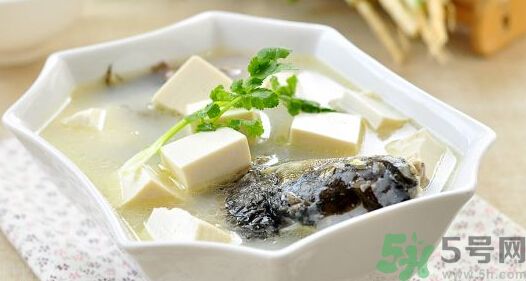 吃魚(yú)真的能變聰明嗎？喝魚(yú)湯有什么好處？