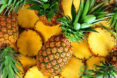 菠蘿和鳳梨有什么區(qū)別？菠蘿和鳳梨誰更好吃？