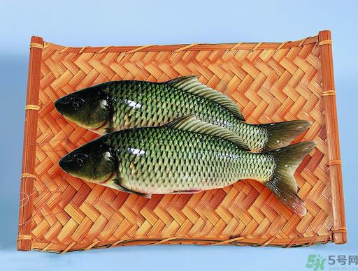 孕婦吃什么魚對胎兒好？孕婦吃什么魚最好？