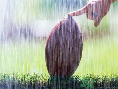 濕氣重的癥狀？怎么去除體內(nèi)的濕氣？