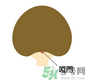 臉總是腫腫的怎么辦？臉有點浮腫怎么消腫？