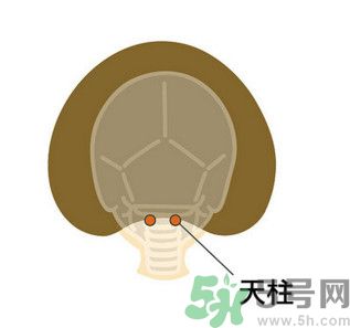 臉總是腫腫的怎么辦？臉有點浮腫怎么消腫？