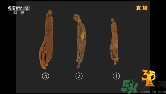 紅參怎么挑選？紅參摻糖怎么辯解？