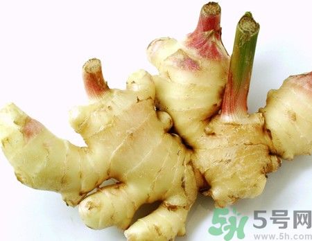生姜發(fā)芽了能吃嗎？生姜發(fā)綠了能吃嗎？