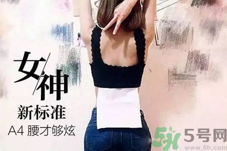 B5腰圍比A4腰圍更好？B5腰是什么意思？