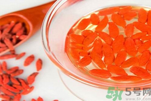 枸杞泡水有什么害處？枸杞泡水喝有什么好處？