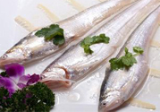 長(zhǎng)江刀魚(yú)為什么那么貴?長(zhǎng)江刀魚(yú)多少錢一斤?
