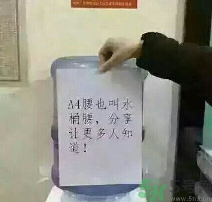 a4腰也叫水桶腰是什么意思？a4腰也叫水桶腰圖片？ 