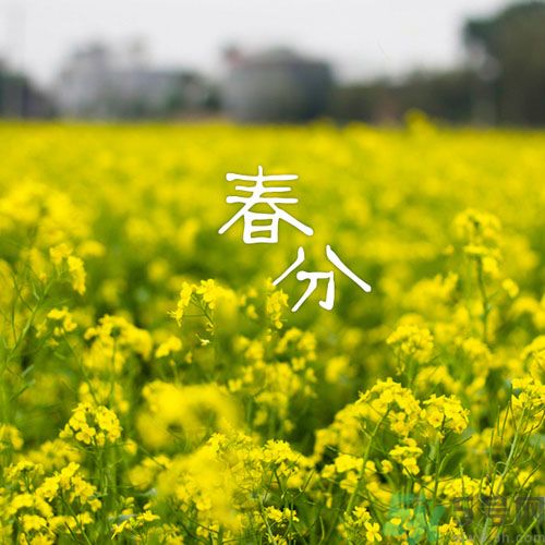 春分時養(yǎng)生要注意什么？春分要預防哪些疾??？