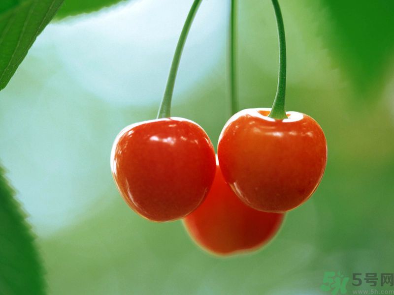 春分時節(jié)養(yǎng)生吃什么水果好？那些水果可以春天吃？