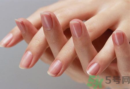 從月牙看健康 如何從月牙看出你的體質(zhì)？