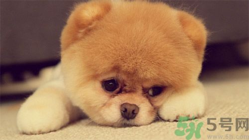 睡覺能戴手表嗎？睡覺不能帶的東西有哪些？