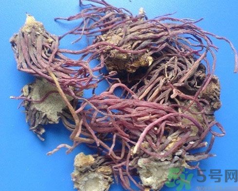 紫菀的功效和作用是什么？紫菀的用法用量是多少？