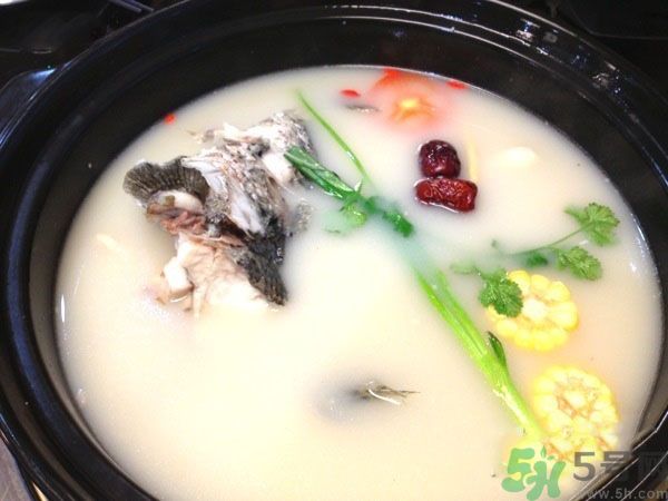 煲魚湯怎么去腥？家常魚湯做法有哪些？