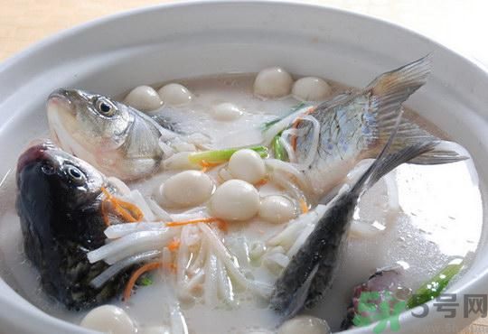 煲魚湯怎么去腥？家常魚湯做法有哪些？