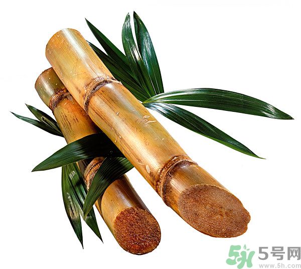 清明節(jié)能吃甘蔗嗎？清明節(jié)吃甘蔗會(huì)中毒嗎？