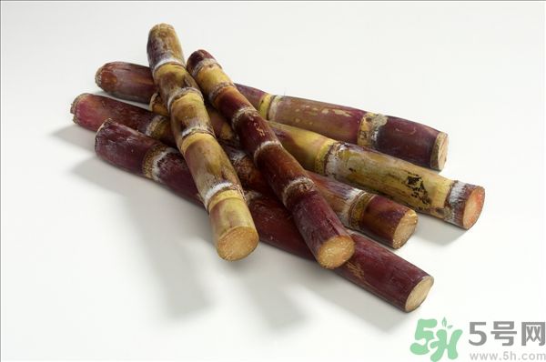 清明節(jié)能吃甘蔗嗎？清明節(jié)吃甘蔗會(huì)中毒嗎？