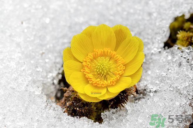 清明節(jié)有哪些習(xí)俗？清明節(jié)習(xí)俗的來源？