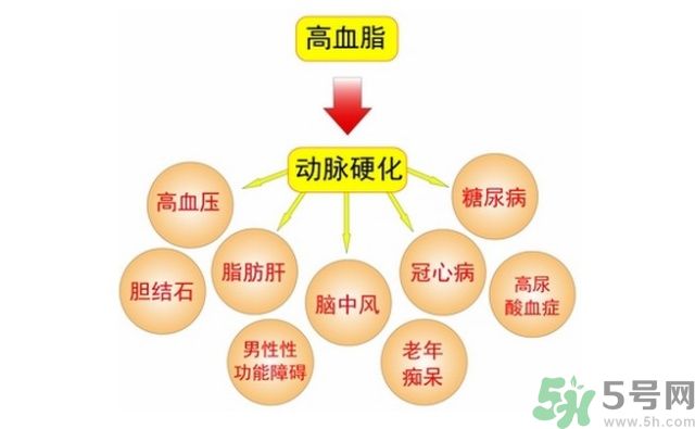 吃什么可以降血脂？高血脂吃什么好？