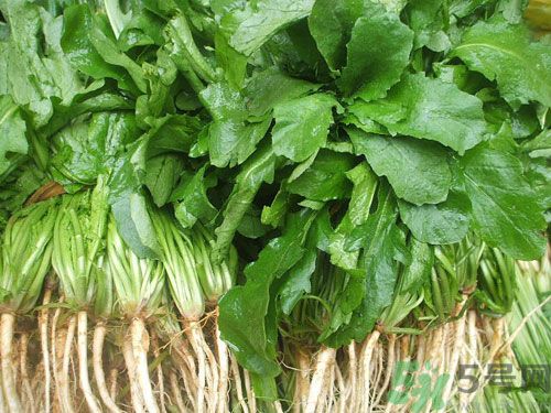 薺菜是發(fā)物嗎？薺菜是不是發(fā)物？