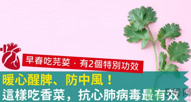 春天吃香菜好嗎？春天吃香菜有什么好處？