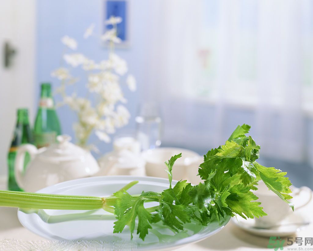 芹菜可以減肥嗎？芹菜有什么功效？