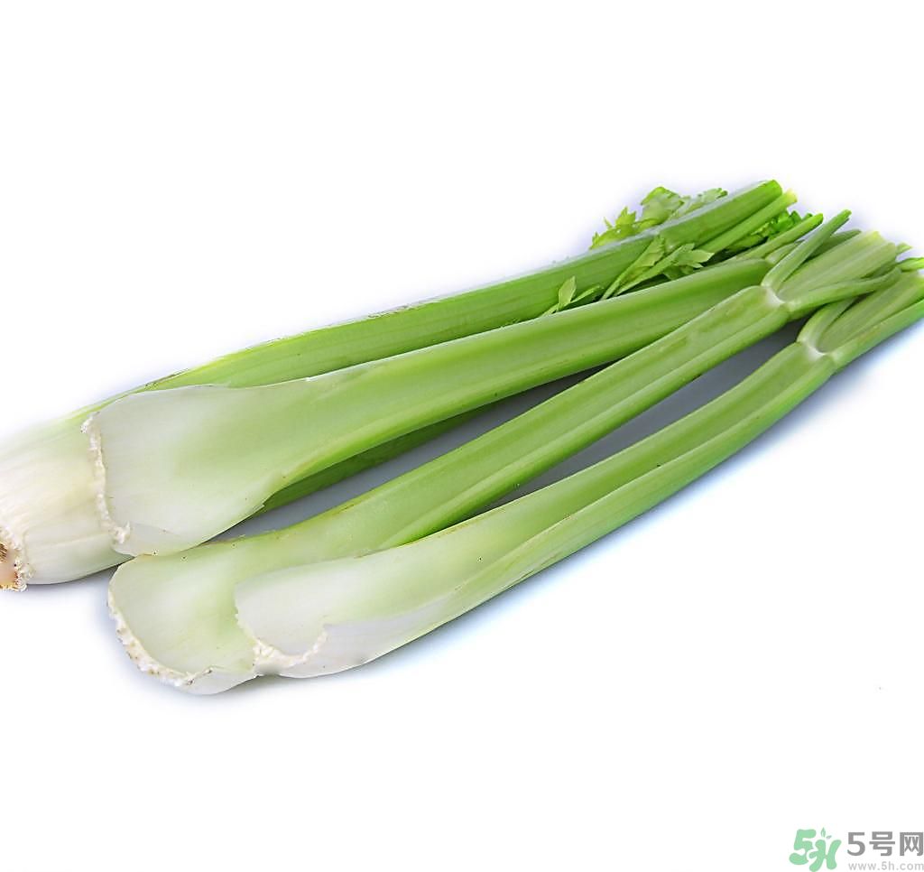 芹菜可以減肥嗎？芹菜有什么功效？