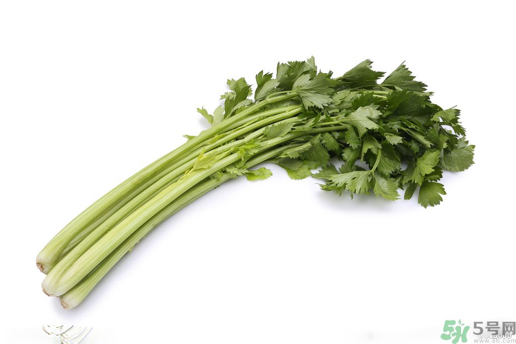 芹菜可以減肥嗎？芹菜有什么功效？