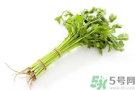 芹菜可以減肥嗎？芹菜有什么功效？