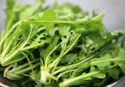 薺菜為什么要焯水？薺菜要用開水燙嗎？