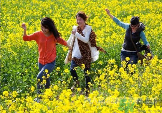 清明節(jié)的習(xí)俗有哪些？清明節(jié)吃什么？