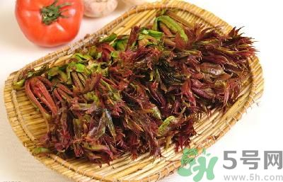吃香椿有什么好處？香椿可以預(yù)防疾病嗎？