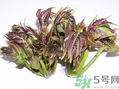 吃香椿有什么好處？香椿可以預(yù)防疾病嗎？