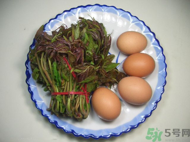 怎么挑選香椿呢？挑選香椿的小竅門？