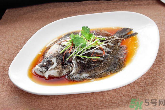 怎么挑選魚？挑魚的技巧有哪些？
