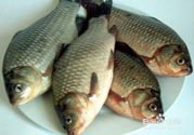 怎么挑選魚(yú)？挑魚(yú)的技巧有哪些？