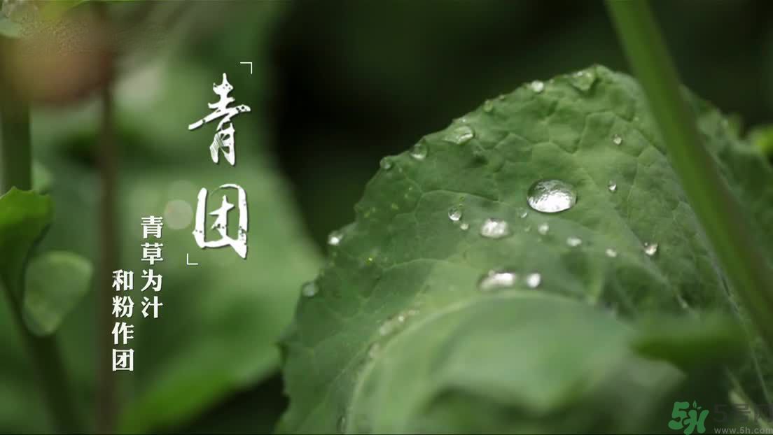 什么人不能吃青團(tuán)？吃青團(tuán)要注意什么？