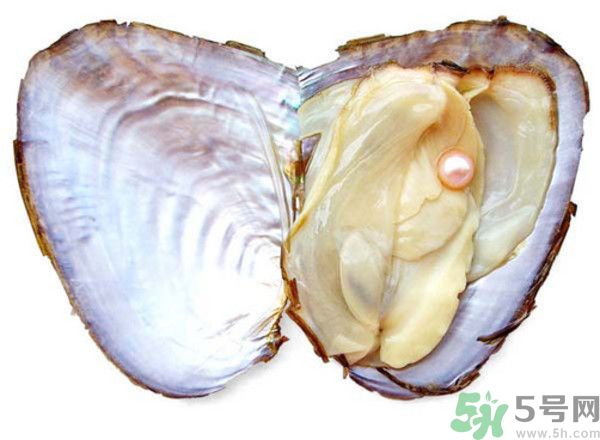 河蚌什么時(shí)候吃最好？吃河蚌有什么好處？