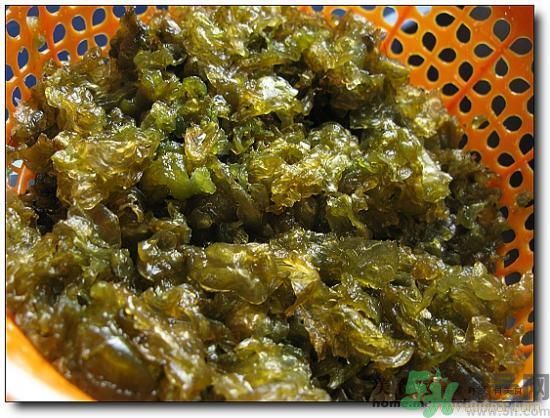 地皮菜怎么清洗干凈？怎樣洗地皮菜？