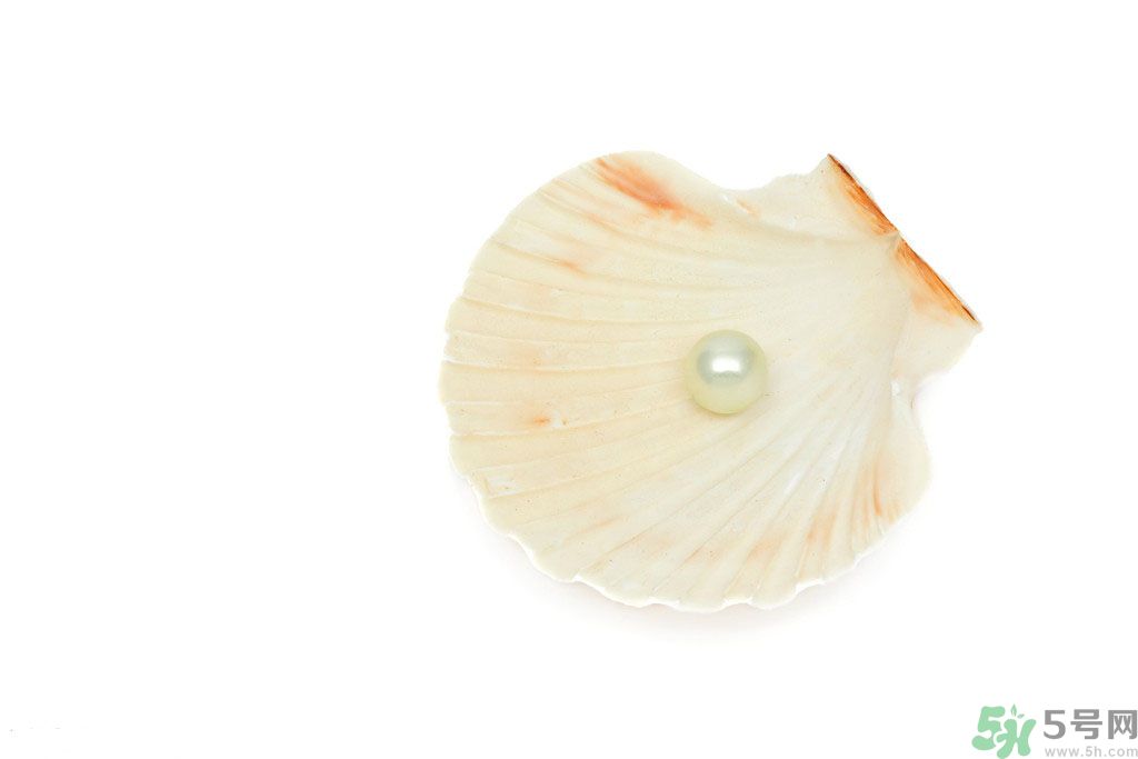 河蚌怎么炒才不會(huì)老？炒河蚌要注意什么？