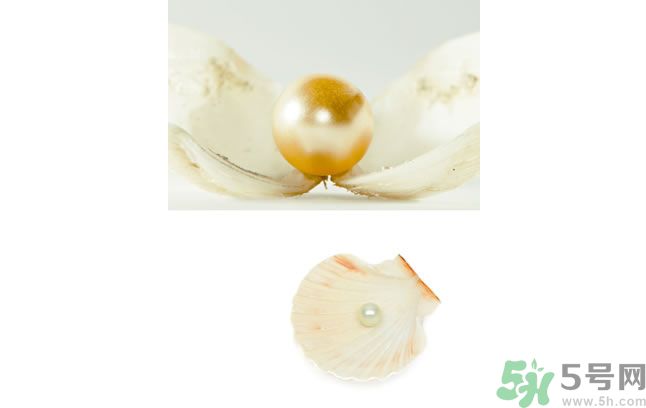 河蚌怎么炒才不會(huì)老？炒河蚌要注意什么？