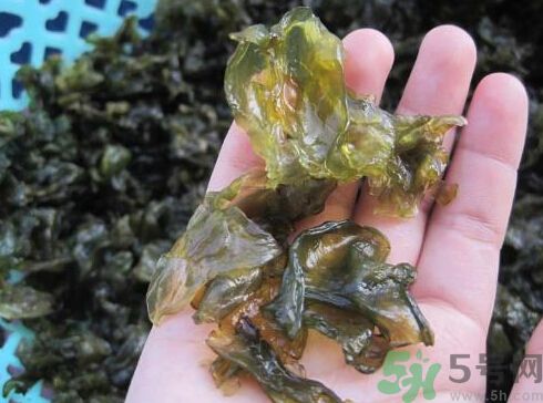 地皮菜孕婦能吃嗎？地皮菜孕婦吃好嗎？